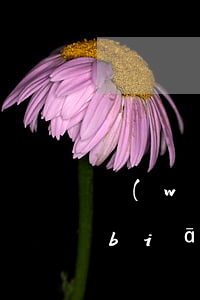 網(wǎng)貸起訴結(jié)案標(biāo)的金額(網(wǎng)貸起訴結(jié)案標(biāo)的金額)