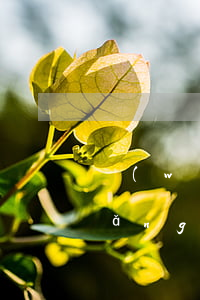 網(wǎng)貸起訴自己在哪里查 網(wǎng)貸起訴去哪里查詢