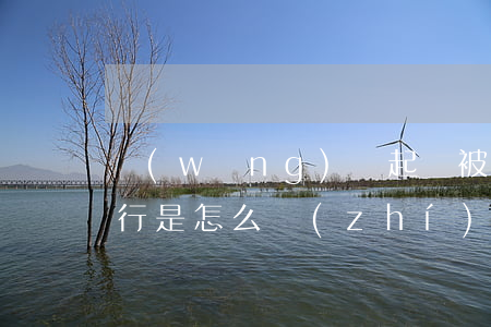 網(wǎng)貸起訴被強制執(zhí)行是怎么執(zhí)行的-網(wǎng)貸起訴被強制執(zhí)行是怎么執(zhí)行的呢