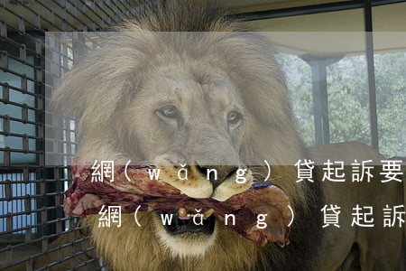 網(wǎng)貸起訴要什么證據(jù)(網(wǎng)貸起訴應(yīng)訴需要準(zhǔn)備哪些)