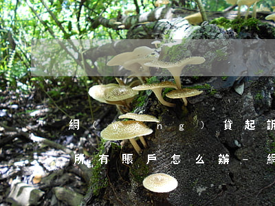 網(wǎng)貸起訴要凍結(jié)我所有賬戶怎么辦-網(wǎng)貸起訴要凍結(jié)我所有賬戶怎么辦呢