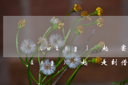 網(wǎng)貸起訴要到我戶籍嗎(網(wǎng)貸起訴是到借款人戶口地嗎)