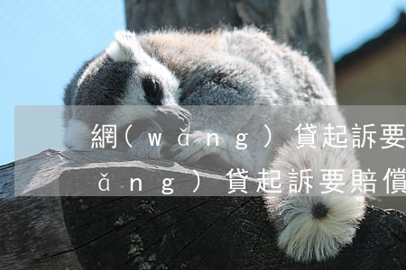 網(wǎng)貸起訴要賠償利息嗎(網(wǎng)貸起訴要賠償利息嗎怎么辦)