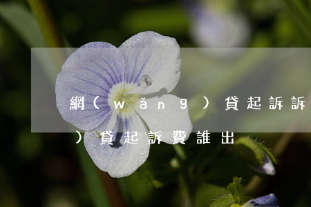 網(wǎng)貸起訴訴訟費（網(wǎng)貸起訴費誰出）