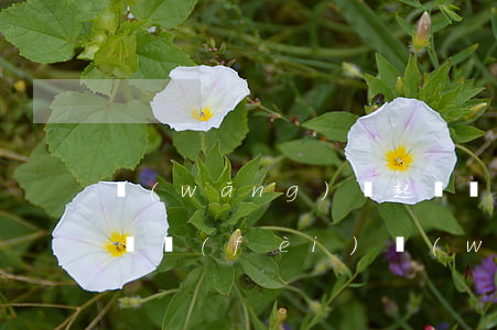 網(wǎng)貸起訴誰(shuí)付訴訟費(fèi) 網(wǎng)貸被起訴訴訟費(fèi)誰(shuí)出