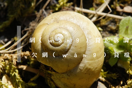 網(wǎng)貸起訴調(diào)檔案(欠網(wǎng)貸檔案調(diào)走會怎么樣)
