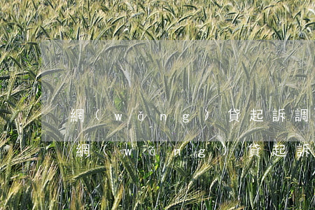 網(wǎng)貸起訴調(diào)解部(網(wǎng)貸起訴調(diào)解部門是哪里)