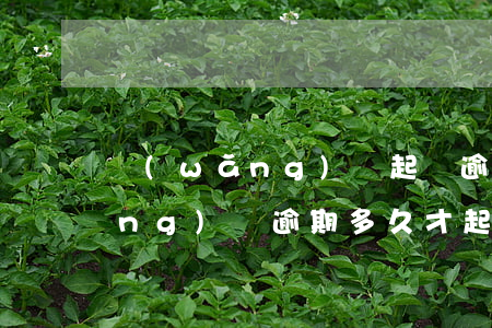 網(wǎng)貸起訴逾期要多久(網(wǎng)貸逾期多久才起訴)