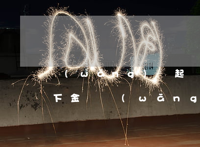 網(wǎng)貸起訴金額是總金額還是剩下金額（網(wǎng)貸起訴的金額）