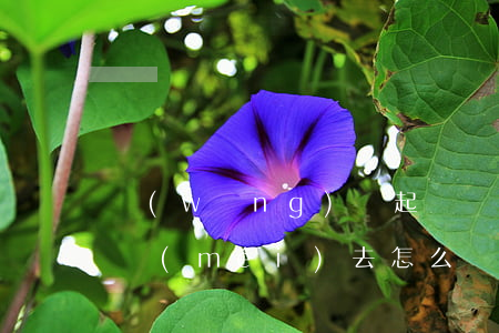 網(wǎng)貸起訴開(kāi)庭如果沒(méi)去怎么辦(被網(wǎng)貸起訴開(kāi)庭應(yīng)該在哪里開(kāi)庭)