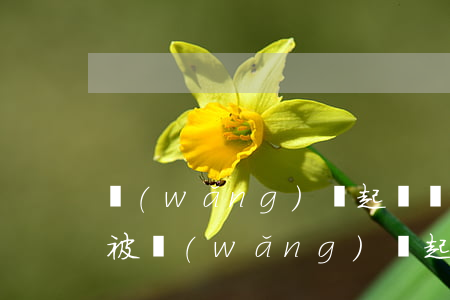 網(wǎng)貸起訴開庭如果沒去怎么辦(被網(wǎng)貸起訴開庭應(yīng)該在哪里開庭)