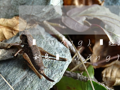 網(wǎng)貸超出高利可以不還嗎(超高利息網(wǎng)貸不還會(huì)怎么樣)