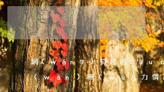 網(wǎng)貸超過(guò)100萬(wàn)無(wú)力償還怎么辦-網(wǎng)貸超過(guò)100萬(wàn)無(wú)力償還怎么辦呢