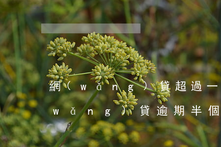 網(wǎng)貸超過一分鐘算逾期嗎(網(wǎng)貸逾期半個小時會怎么樣)