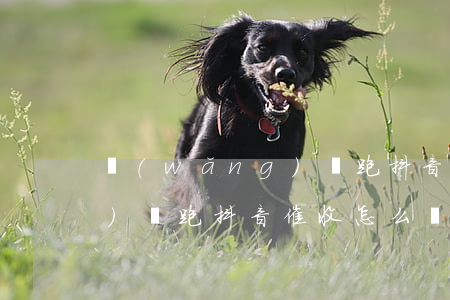 網(wǎng)貸跑抖音催收 網(wǎng)貸跑抖音催收怎么辦