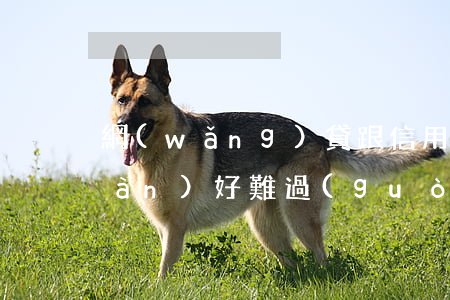 網(wǎng)貸跟信用卡欠了十幾萬(wàn)好難過(guò)啊-網(wǎng)貸跟信用卡欠了十幾萬(wàn)好難過(guò)啊怎么還