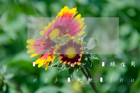 網(wǎng)貸跟信用卡欠了錢(網(wǎng)貸欠款會(huì)影響信用卡嗎)
