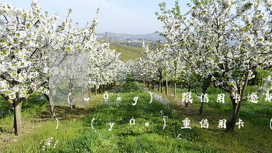 網(wǎng)貸跟信用卡逾期哪個(gè)嚴(yán)重（信用卡網(wǎng)貸逾期最嚴(yán)重的后果）