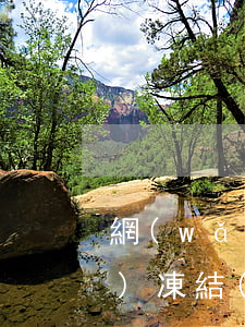 網(wǎng)貸跟信用卡逾期會(huì)凍結(jié)銀行卡嗎-網(wǎng)貸跟信用卡逾期會(huì)凍結(jié)銀行卡嗎安全嗎