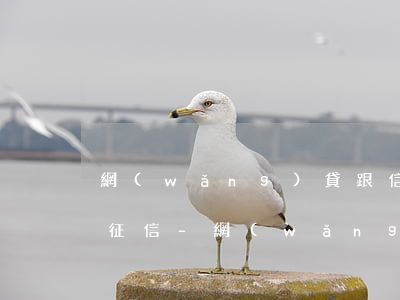 網(wǎng)貸跟信用卡逾期會不會影響征信-網(wǎng)貸跟信用卡逾期會不會影響征信記錄