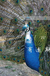 網(wǎng)貸跟信用卡都沒(méi)有逾期(網(wǎng)貸逾期會(huì)導(dǎo)致信用卡無(wú)法使用嗎)