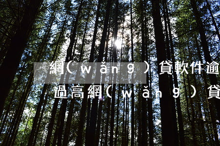 網(wǎng)貸軟件逾期費(fèi)用過高(網(wǎng)貸逾期費(fèi)用多少合法)