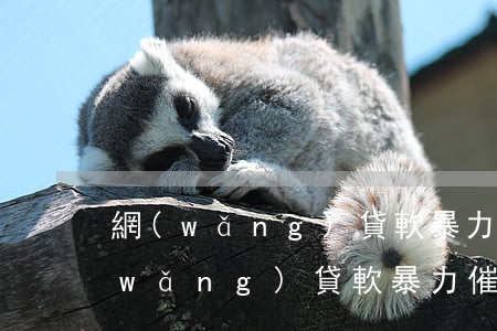 網(wǎng)貸軟暴力催收判刑案例(網(wǎng)貸軟暴力催收判刑案例)