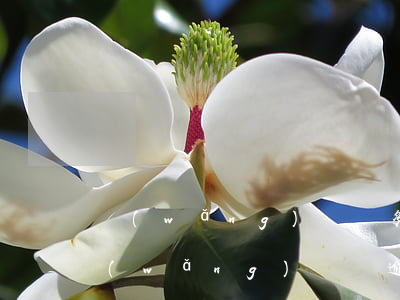 網(wǎng)貸較多沒逾期影響車貸嗎(網(wǎng)貸無逾期影響車貸嗎)