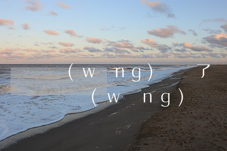 網(wǎng)貸輸了錢怎么辦(銀行貸款的錢網(wǎng)賭輸了怎么辦)