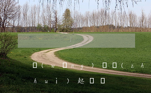 網(wǎng)貸轉(zhuǎn)讓會(huì)起訴嗎