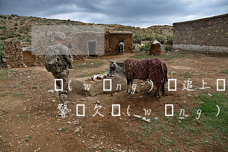 網(wǎng)貸追上門可以報(bào)警嗎（欠網(wǎng)貸被上門打）