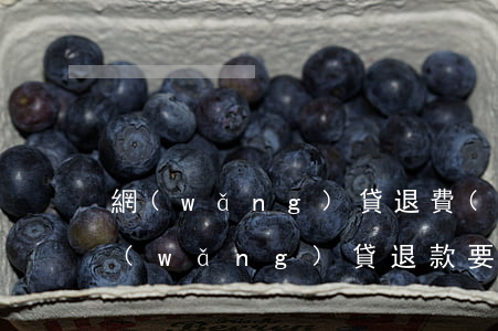 網(wǎng)貸退費(fèi)還不起(網(wǎng)貸退款要交違約金嗎)