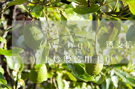 網(wǎng)貸透支信用卡網(wǎng)上炒股(信用卡申請網(wǎng)貸)