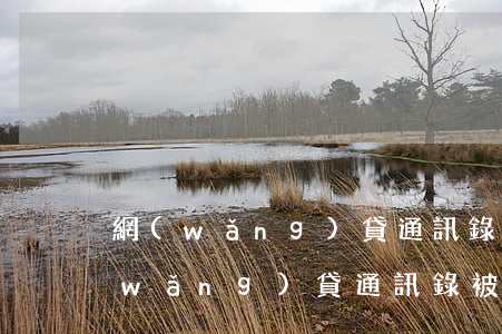 網(wǎng)貸通訊錄被爆起訴案例（網(wǎng)貸通訊錄被爆起訴）
