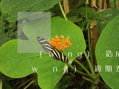 網(wǎng)貸造成逾期5天怎么辦(網(wǎng)貸逾期五天會(huì)怎么樣)