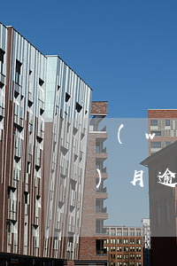 網(wǎng)貸連續(xù)每個(gè)月逾期兩天(網(wǎng)貸逾期一個(gè)小時(shí))