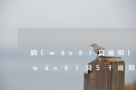網(wǎng)貸逾期1.5倍合理嗎(網(wǎng)貸5千逾期三年)