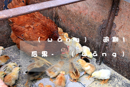 網(wǎng)貸逾期10000元半年的后果-網(wǎng)貸逾期10000元半年的后果是什么