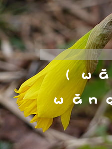 網(wǎng)貸逾期10來天有事嗎(網(wǎng)貸逾期10天會上征信嗎)