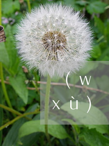 網(wǎng)貸逾期10天后還了，后續(xù)還有幾期-網(wǎng)貸逾期10天后還了,后續(xù)還有幾期了