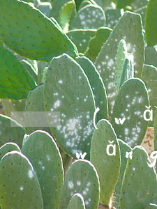 網(wǎng)貸逾期10天會被起訴(網(wǎng)貸逾期多少會被法院起訴)