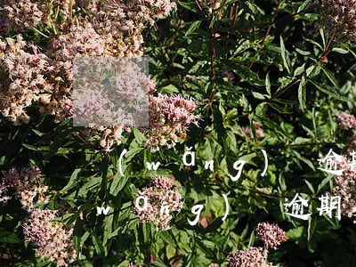 網(wǎng)貸逾期10天說要上門(網(wǎng)貸逾期多久上門)