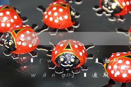 網(wǎng)貸逾期10種不良征兆(網(wǎng)貸逾期違法嗎)