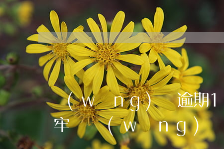 網(wǎng)貸逾期10萬(wàn)坐牢嗎(網(wǎng)貸逾期10萬(wàn)怎么辦)