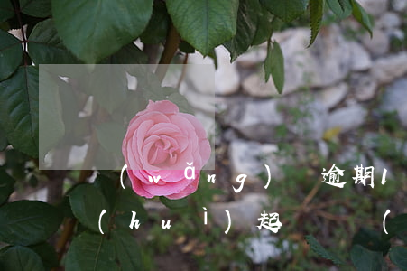 網(wǎng)貸逾期10萬(wàn)會(huì)起訴嗎(網(wǎng)貸逾期一萬(wàn)多會(huì)起訴嗎?)