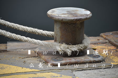 網(wǎng)貸逾期11天取消分期是什么意思（網(wǎng)貸逾期取消分期支付）