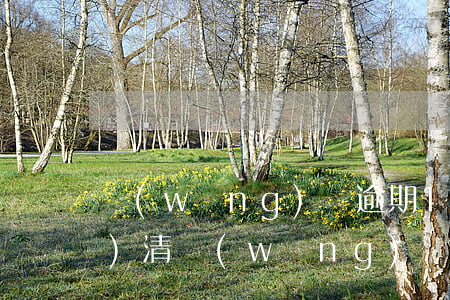 網(wǎng)貸逾期120天結(jié)清(網(wǎng)貸逾期要求一次結(jié)清)