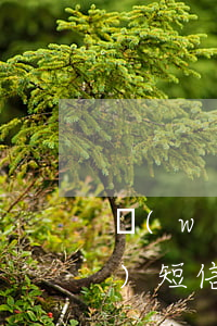 網(wǎng)貸逾期12329發(fā)短信是真的嗎-網(wǎng)貸逾期12329發(fā)短信是真的嗎嗎