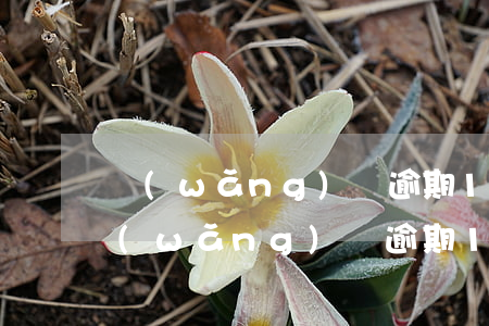 網(wǎng)貸逾期13000會起訴 網(wǎng)貸逾期1200值得被起訴嗎