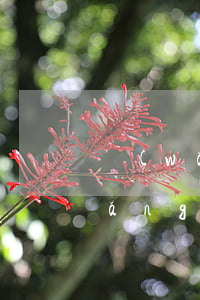 網(wǎng)貸逾期1300多天(網(wǎng)貸逾期一千多天)